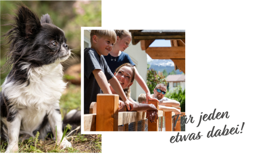 Ein flauschiger schwarz-weißer Hund sitzt links im Gras. Darüber ist ein Foto einer lächelnden Familie mit zwei Kindern auf einem Holzzaun gelegt. Der Text lautet in Schreibschrift „Für jeden etwas dabei!“. Im Hintergrund sind Berge zu sehen.