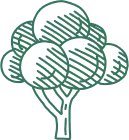 Illustration eines stilisierten Baums mit überlappenden strukturierten Kreisen für das Laub und einfachen Linien für Stamm und Äste, alles in einer grünen Umrandung. Dieses minimalistische, abstrakte Design erinnert an die ruhigen Landschaften, die man oft in der Nähe von Alpenresorts findet.