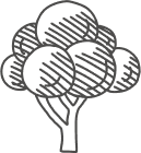 Eine einfache Strichzeichnung eines Baumes mit dickem Stamm und runder, buschiger Baumkrone erinnert an den Charme von Alpenresorts, dargestellt im Skizzenstil mit sanften diagonalen Schattierungslinien.