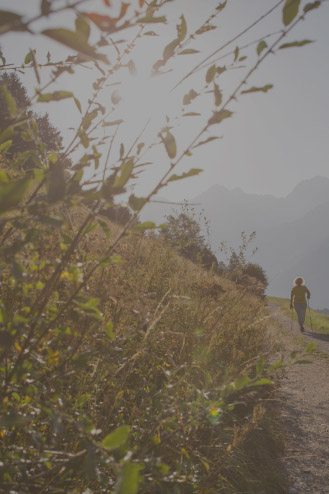 Eine Person spaziert einen von hohem Gras und Büschen gesäumten Weg entlang, in der dunstigen Ferne sind Berge zu sehen, die an idyllische Alpenresorts erinnern. Die Sonne scheint hell und taucht die ruhige Szene in einen warmen Schein.