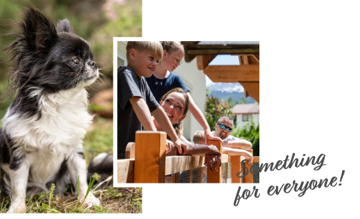A fluffy black and white dog sits outside, with a family—two children and two adults—enjoying time together near a wooden fence in the background. The text Something for everyone! is written on the bottom right.