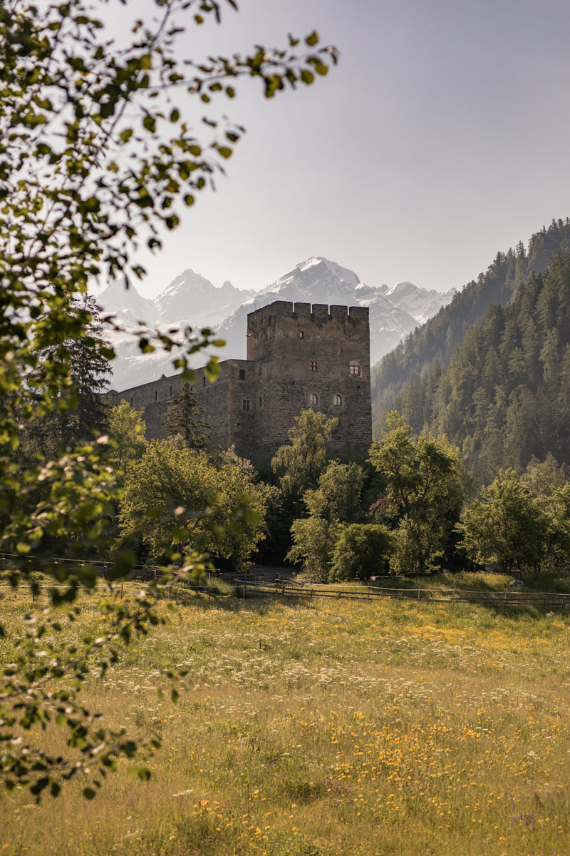 Mittelalterliche Steinburg, umgeben von Bäumen, mit Bergen im Hintergrund.